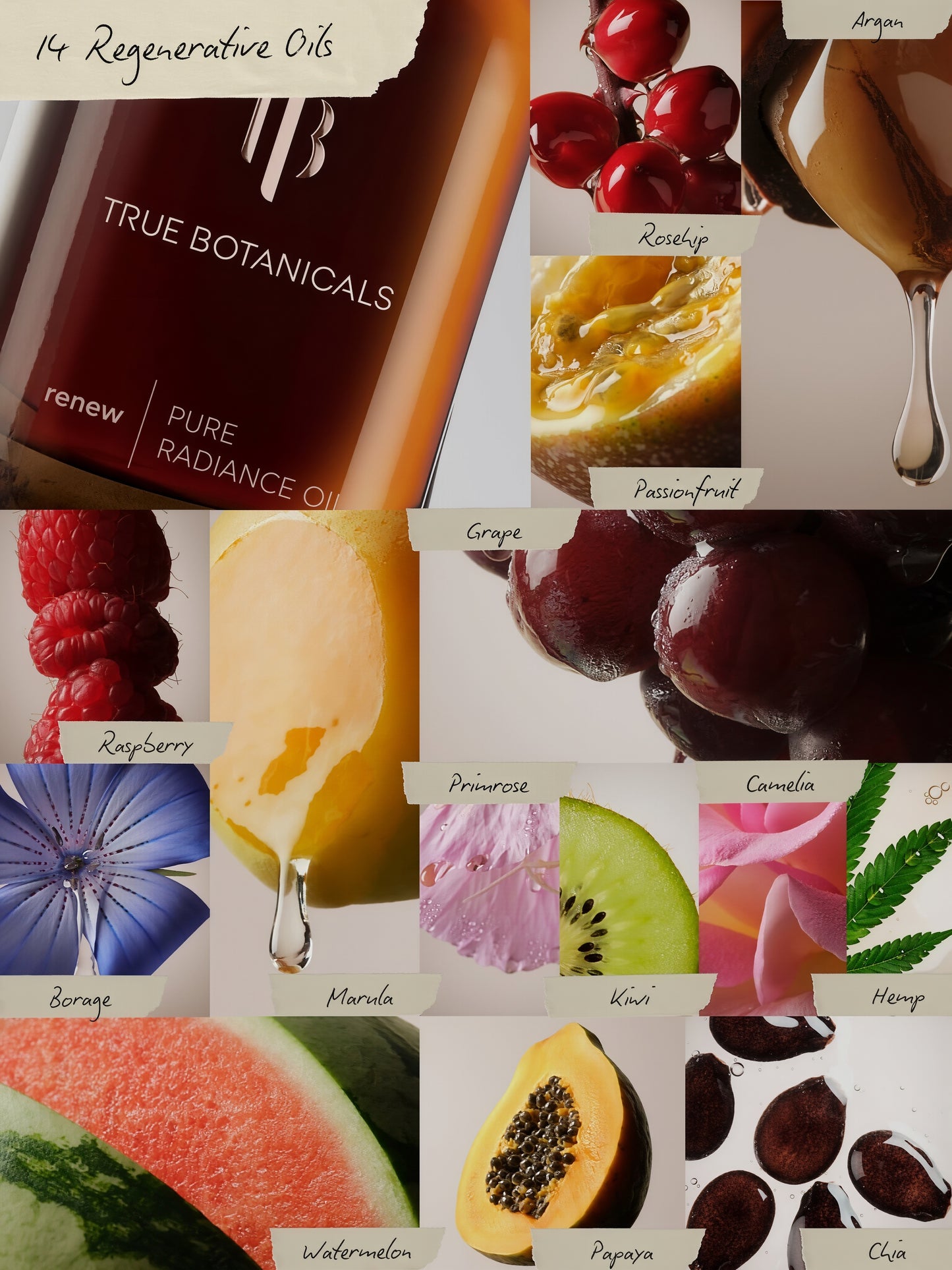 True Botanicals Renew Pure Radiance Oil